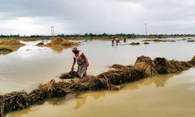 फोटो: रासस